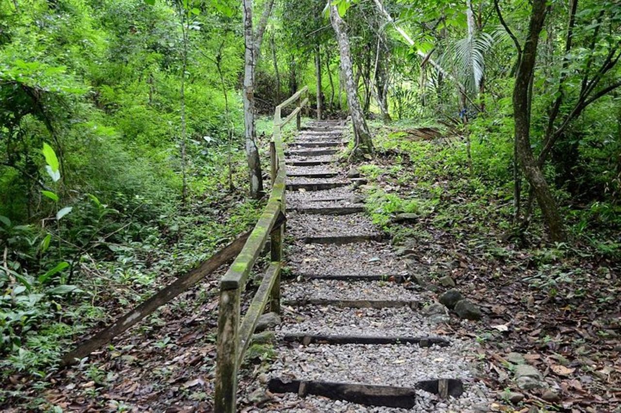 Metropolitan Park e Ancon Hill — 2