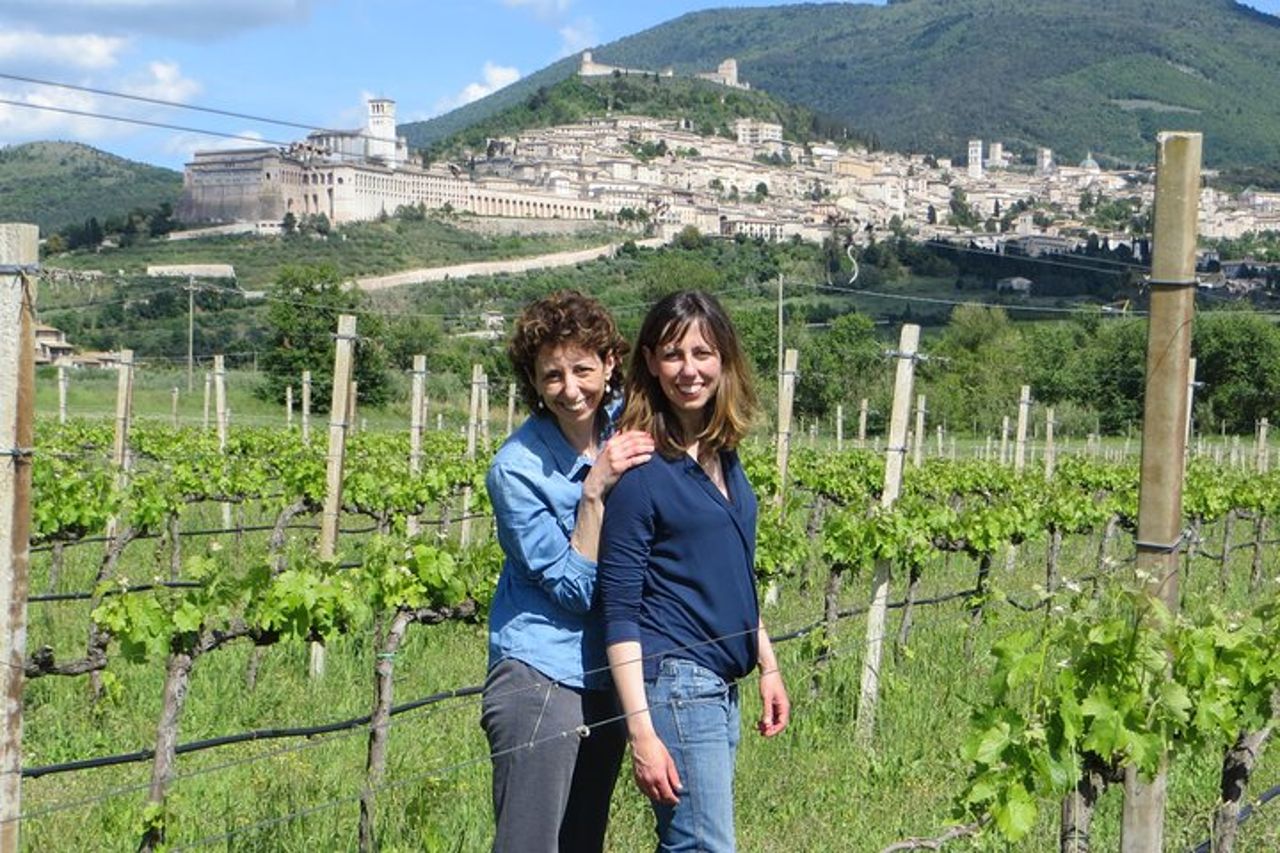Rich aperitif 5 wines and walk in the vineyards — 2