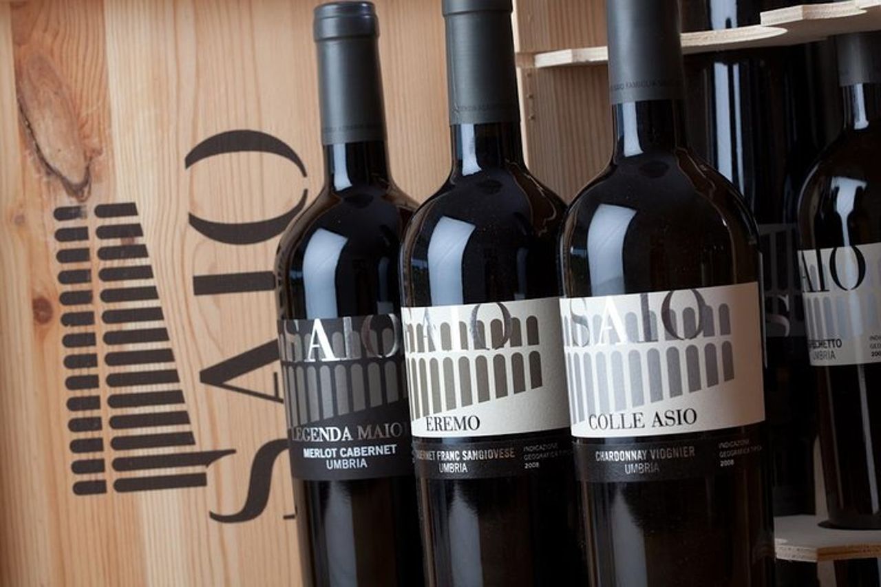 Rich aperitif 5 wines and walk in the vineyards — 7