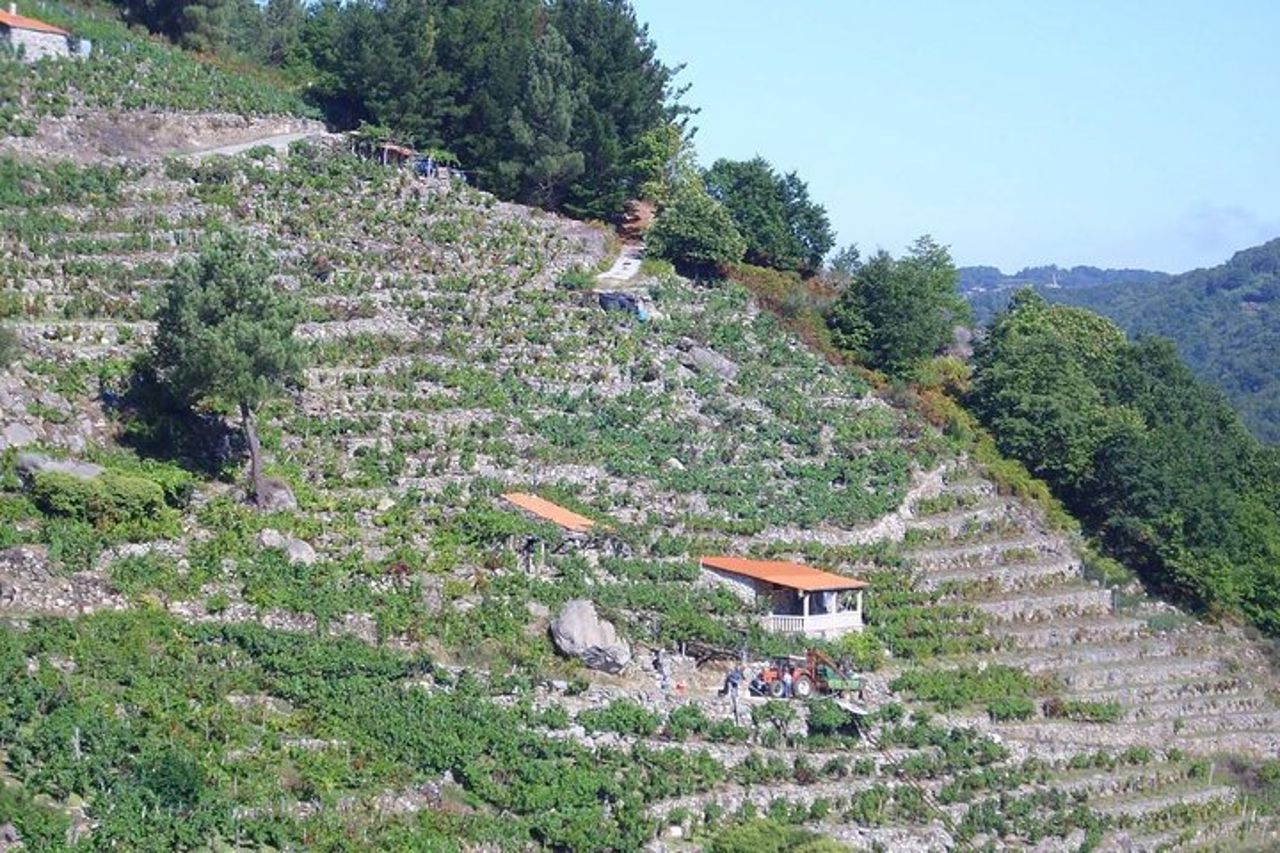 Ribeira Sacra di Lugo