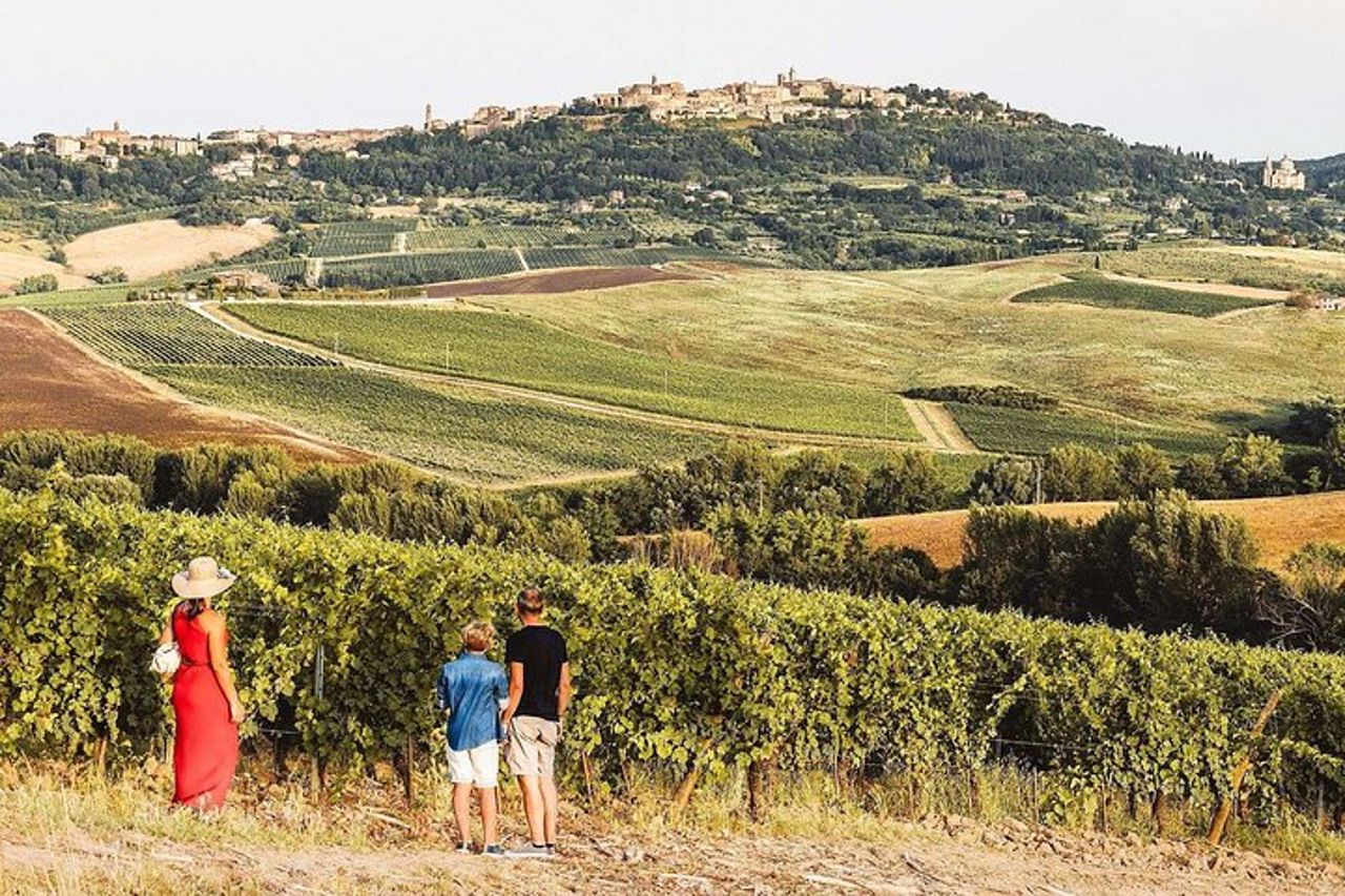 Vino Nobile Wine Tour in Montepulciano — 2