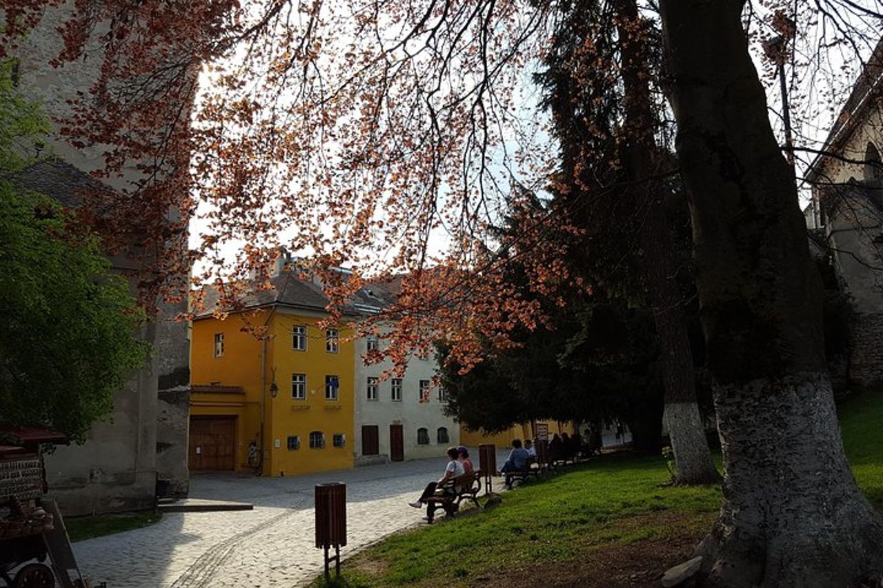 Tour di 3 giorni di Transylvania Legends per piccoli gruppi — 4