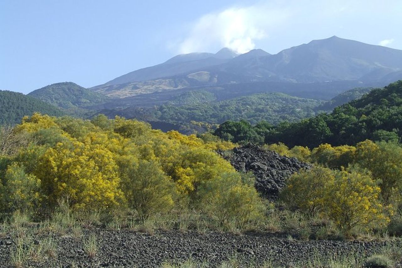 Etna privato da Messina Cruise Terminal + Pranzo in Cantina — 7