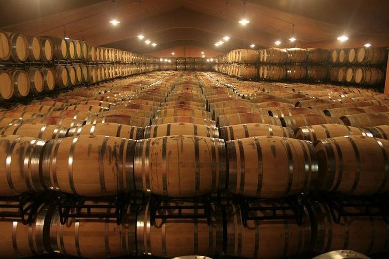 Tour della Valle del Douro: degustazione di vini, crociera e pranzo da Porto — 8