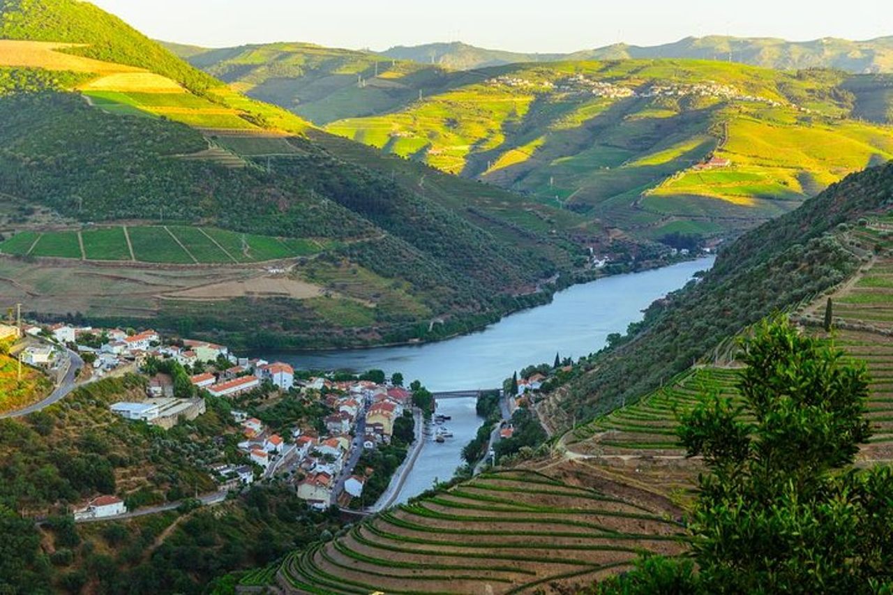 Tour della Valle del Douro: degustazione di vini, crociera e pranzo da Porto — 7