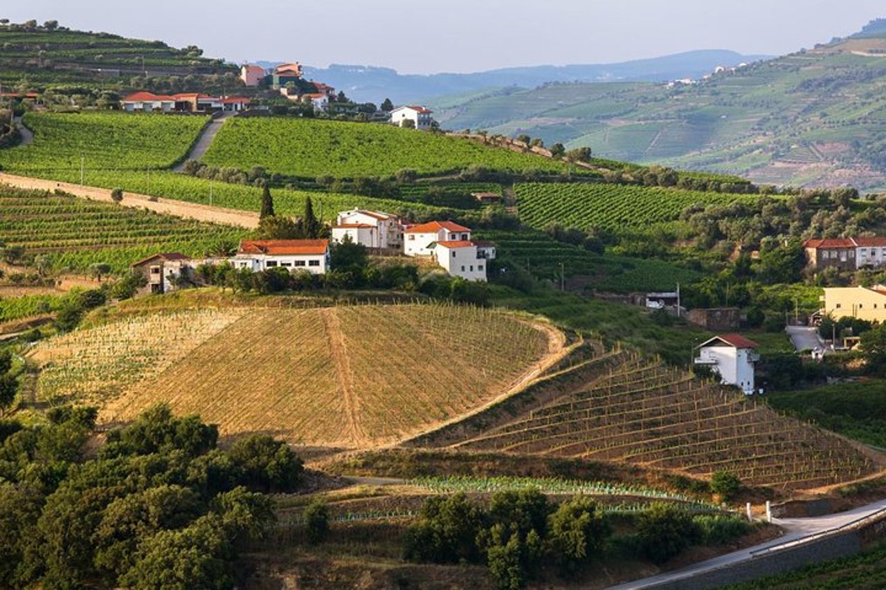Tour della Valle del Douro: degustazione di vini, crociera e pranzo da Porto — 9