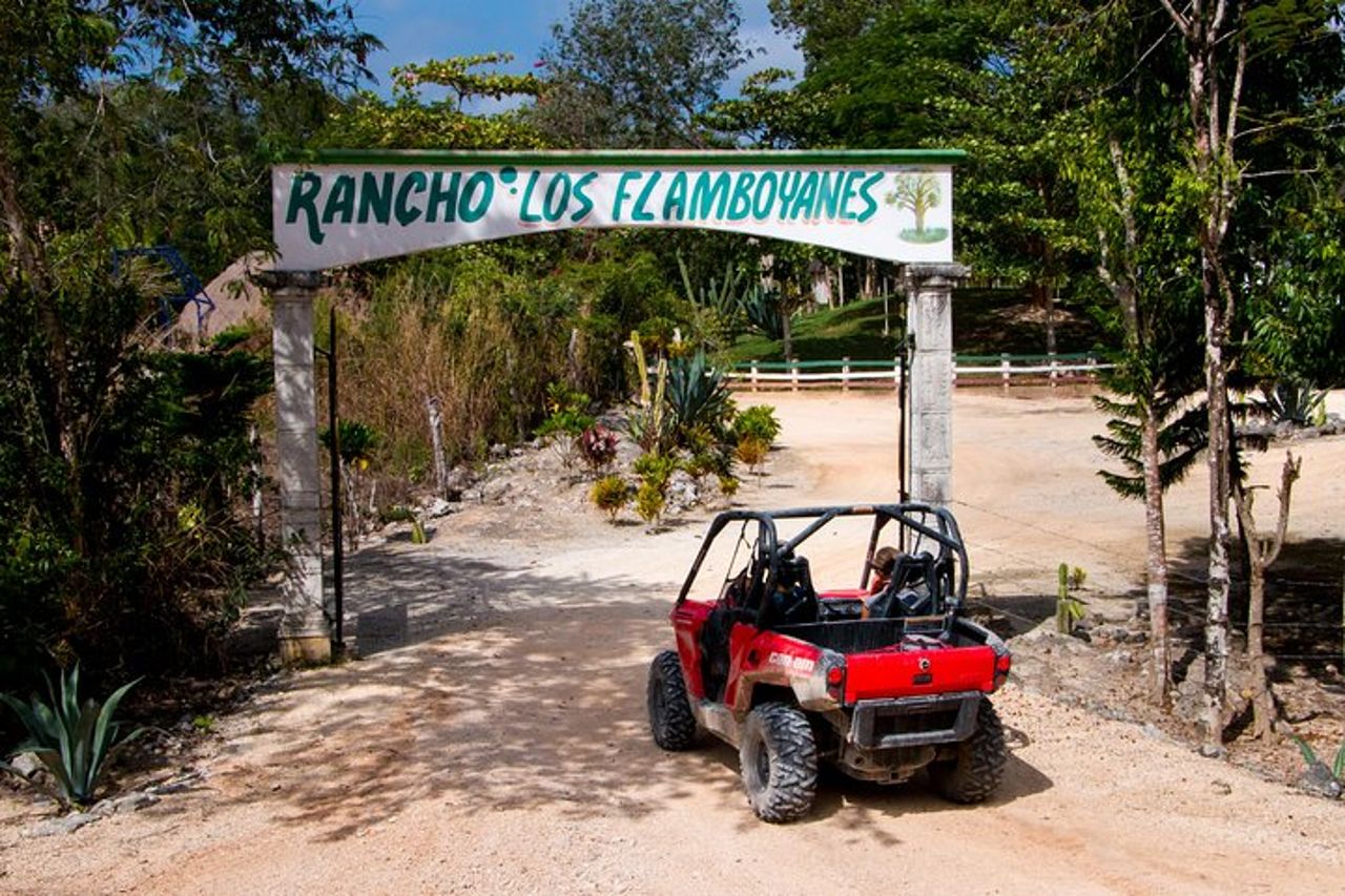 Tour della giungla in Buggy da Playa del Carmen con nuotata nel cenote — 6