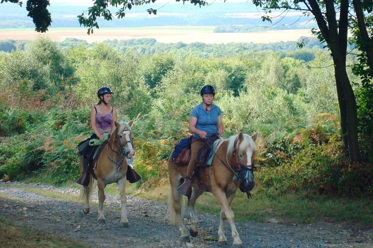 Passeggiate a cavallo nella campagna francese tra Parigi e Lilla — 2