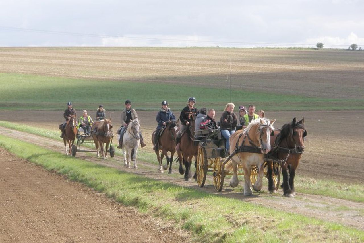 Passeggiate a cavallo nella campagna francese tra Parigi e Lilla — 3
