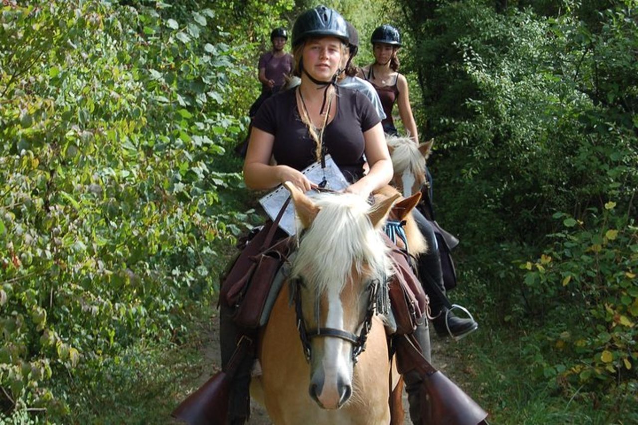 Passeggiate a cavallo nella campagna francese tra Parigi e Lilla — 4