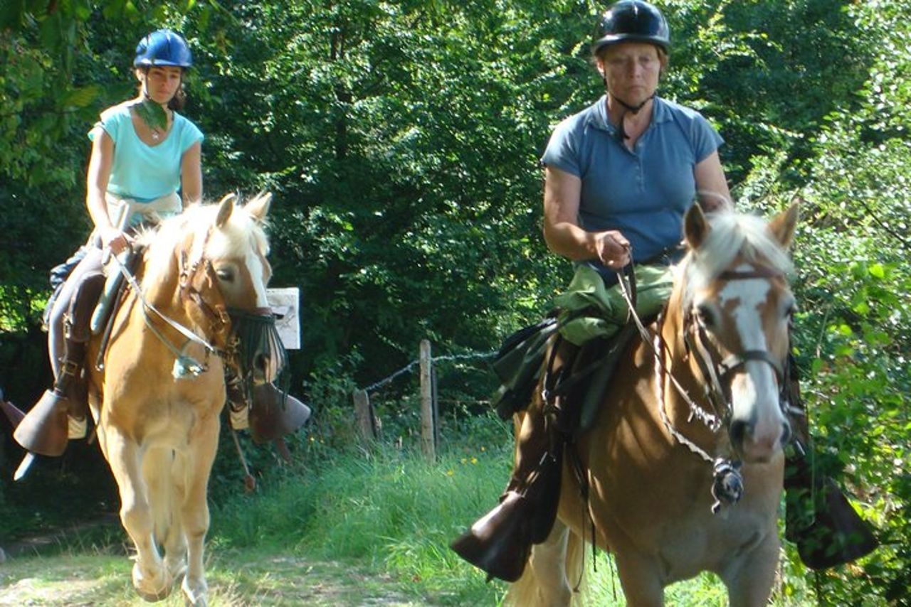 Passeggiate a cavallo nella campagna francese tra Parigi e Lilla — 6
