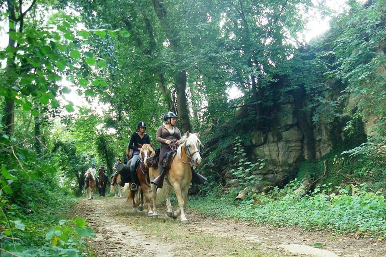Passeggiate a cavallo nella campagna francese tra Parigi e Lilla