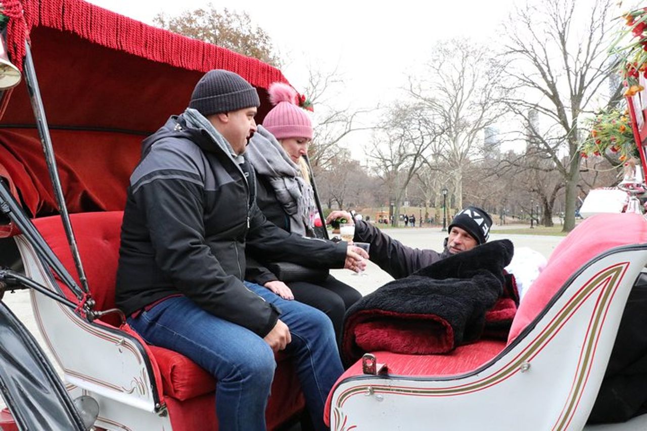 Proposta romantica Tour in carrozza a Central Park — 4