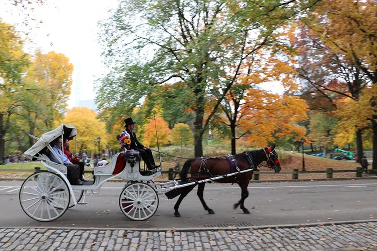 Proposta romantica Tour in carrozza a Central Park — 5