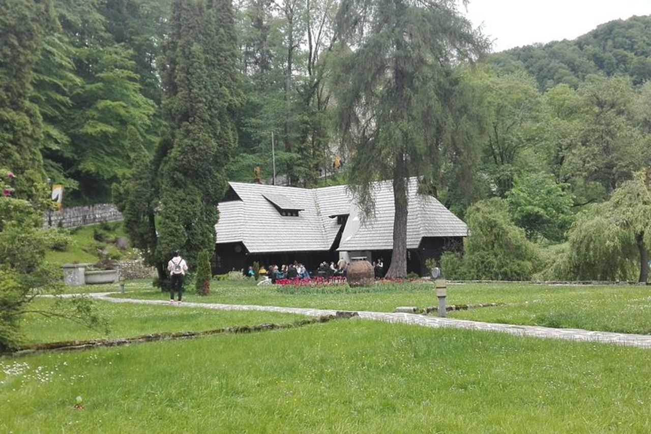 LiBEARty - il Santuario degli orsi bruni di Zarnesti — 6