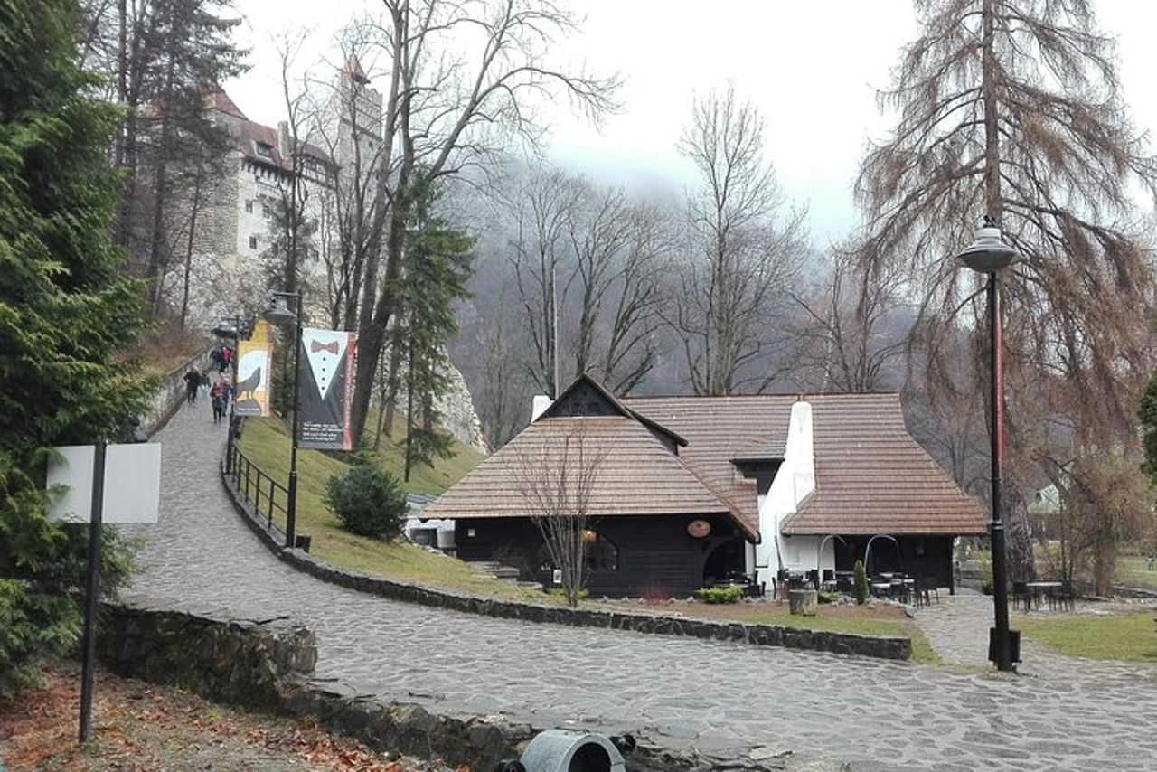 LiBEARty - il Santuario degli orsi bruni di Zarnesti — 8