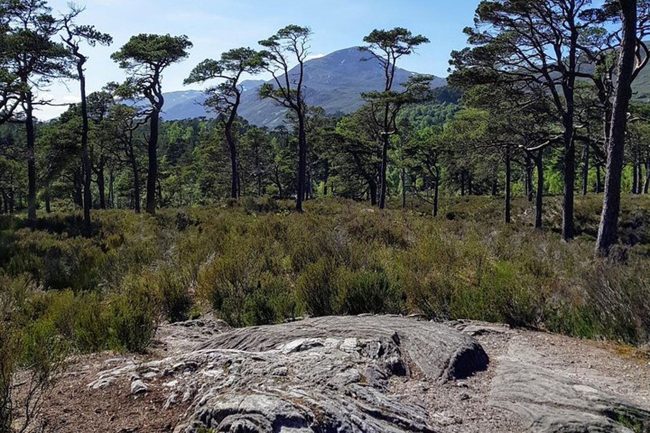 Tour alternativo di Loch Ness dagli altopiani segreti — 4