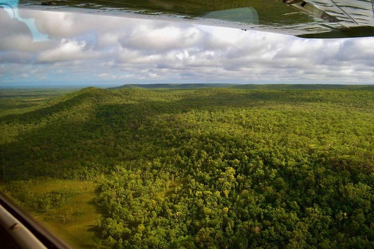 Litchfield Park & Daly River - Scenic Flight Da Darwin — 9