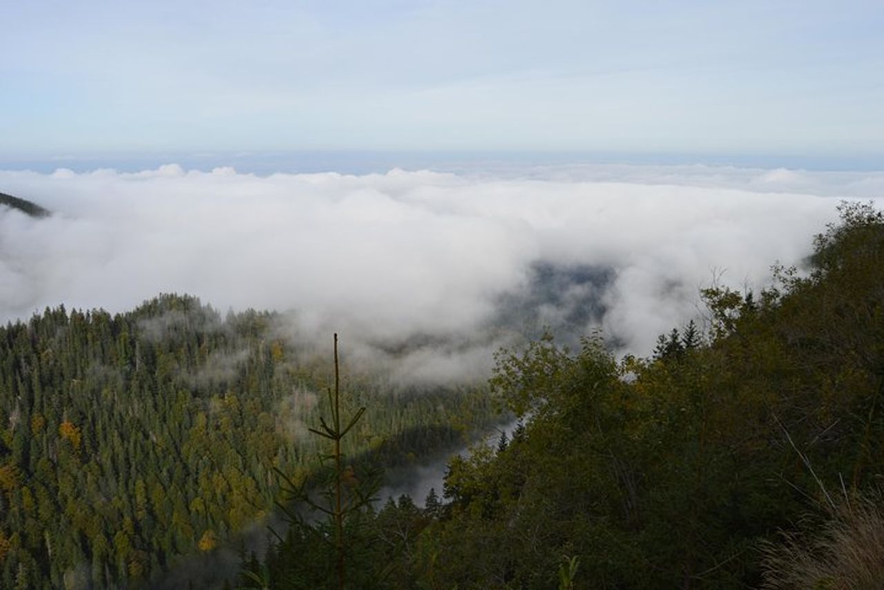 Tour privato di un giorno intero della Transfagarasan da Sibiu — 4