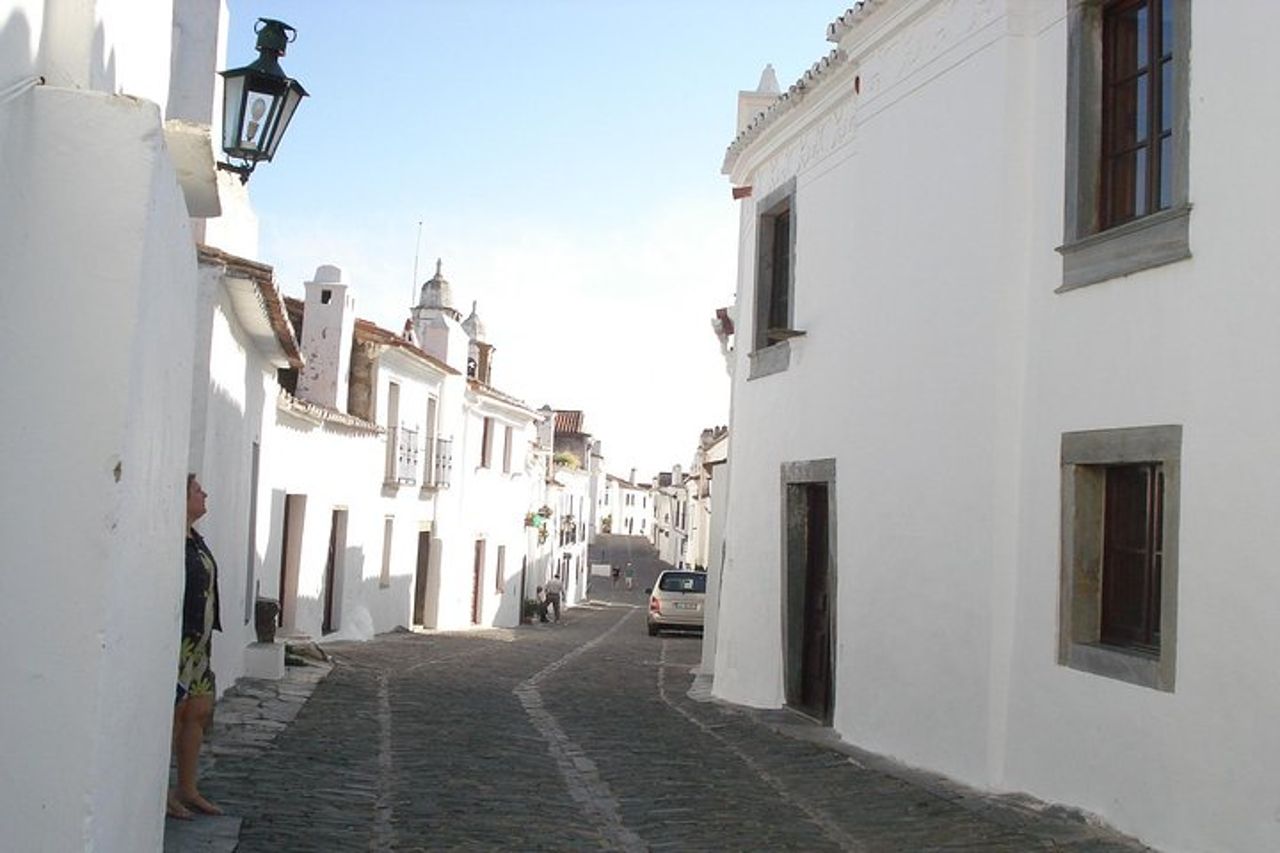 Tour privato di degustazione di vini Evora e Monsaraz — 8