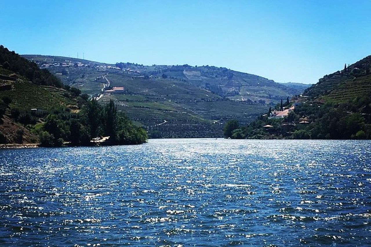 Valle del Douro con due aziende vinicole, gita in barca e pranzo da Porto — 2