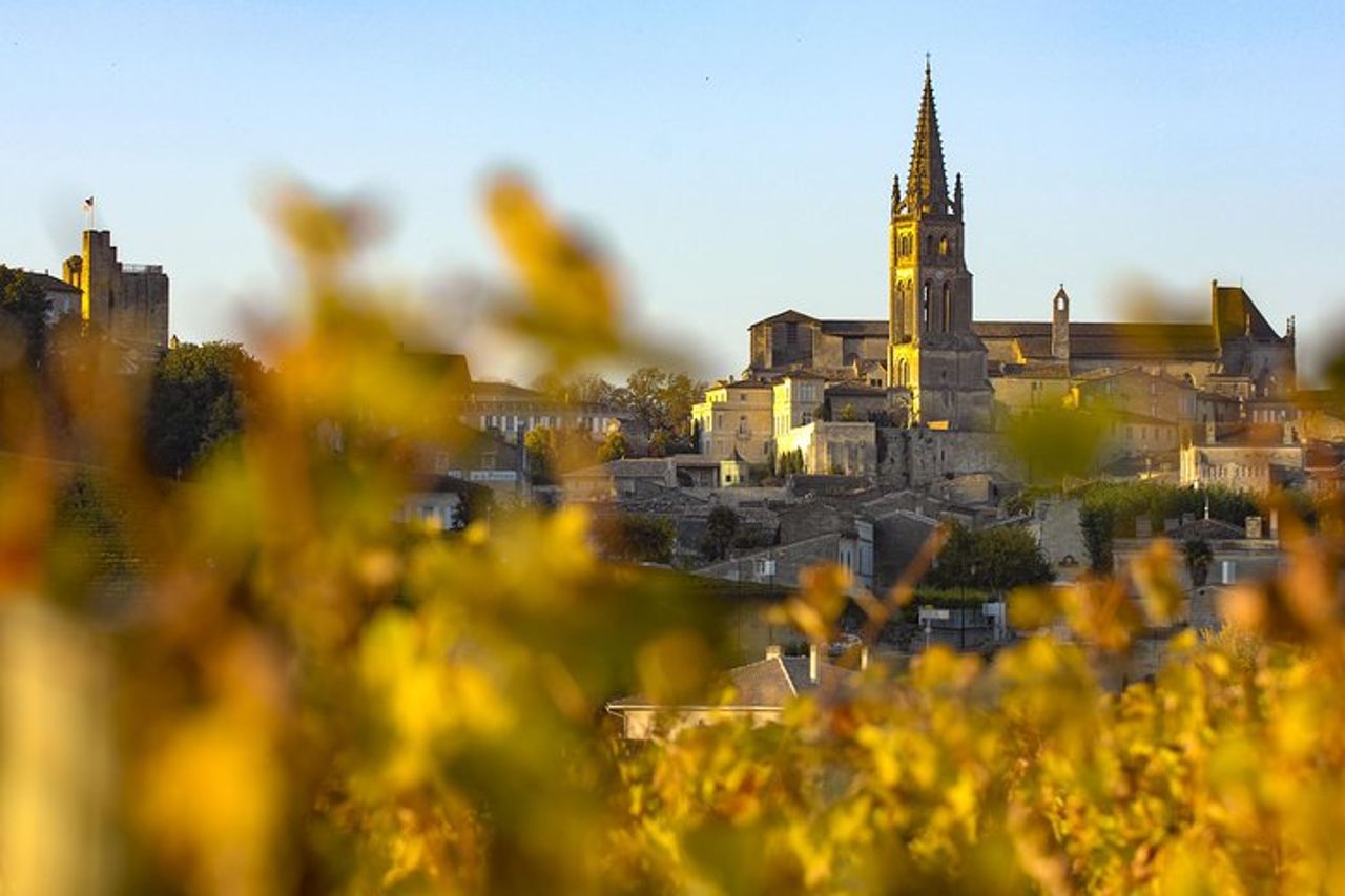 Tour di mezza giornata di Saint Emilion con degustazione di vini e visita della cantina da Bordeaux