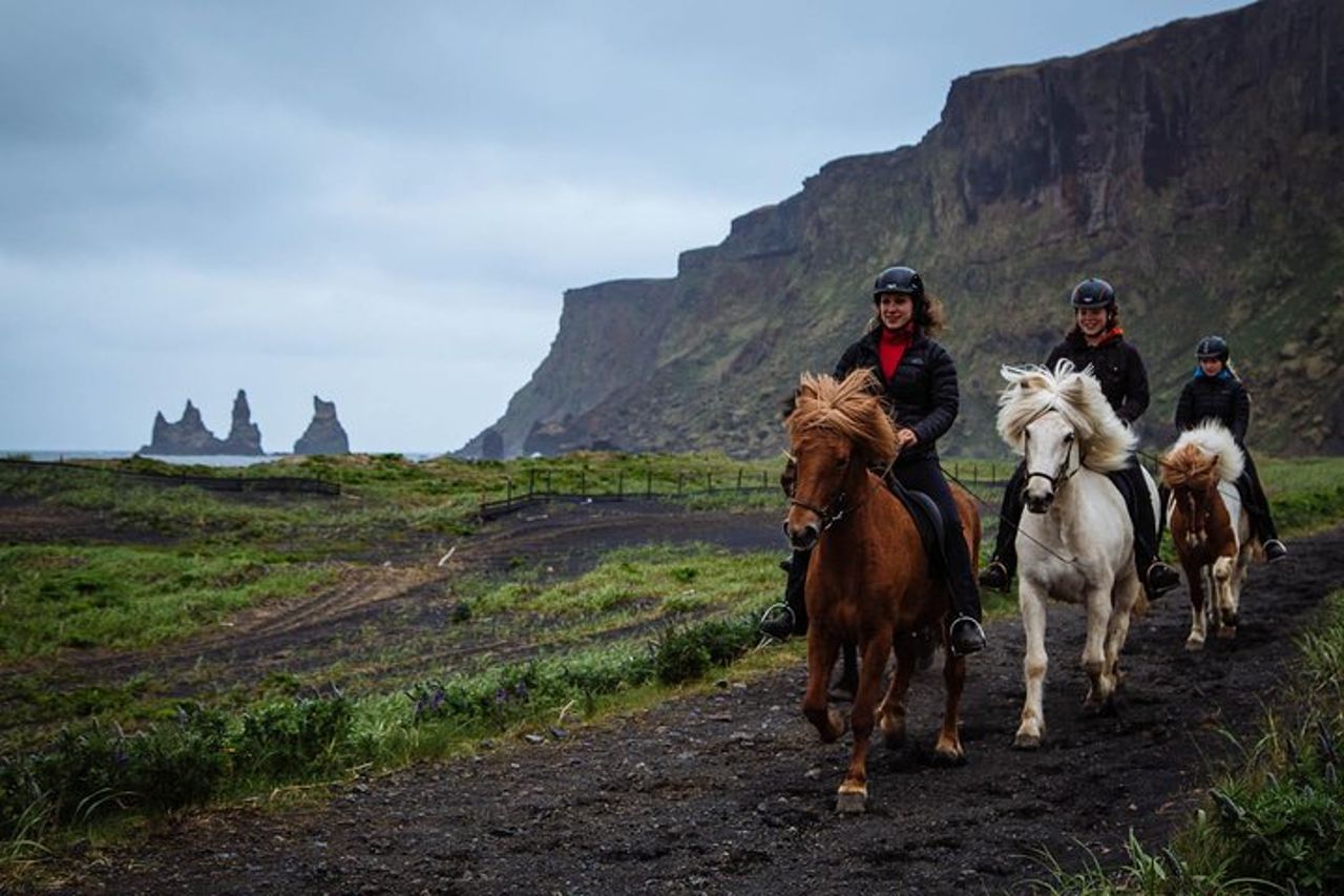 Tour a cavallo della Black Sand Beach da Vik — 5