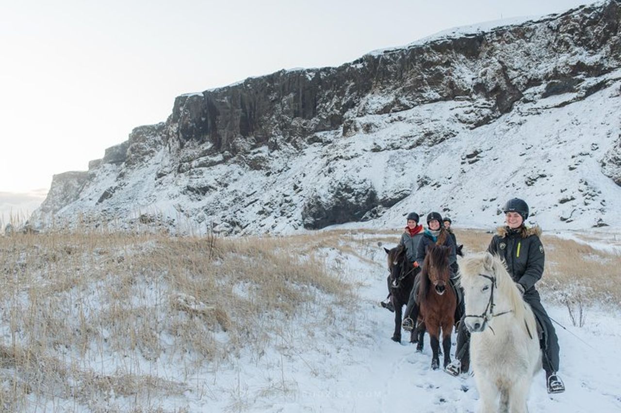 Tour a cavallo della Black Sand Beach da Vik — 6