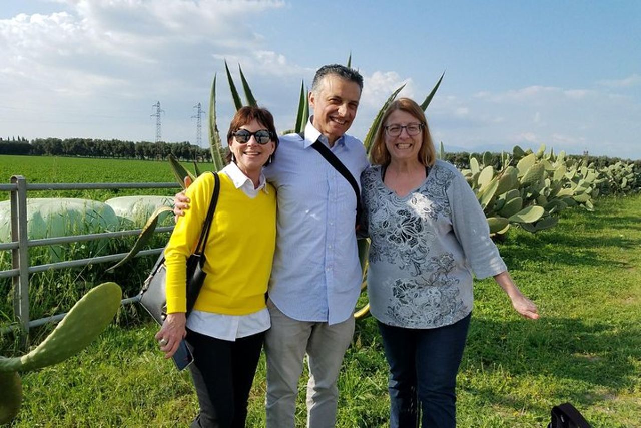 Cilento Wine: Tour & Degustazione Esperienza