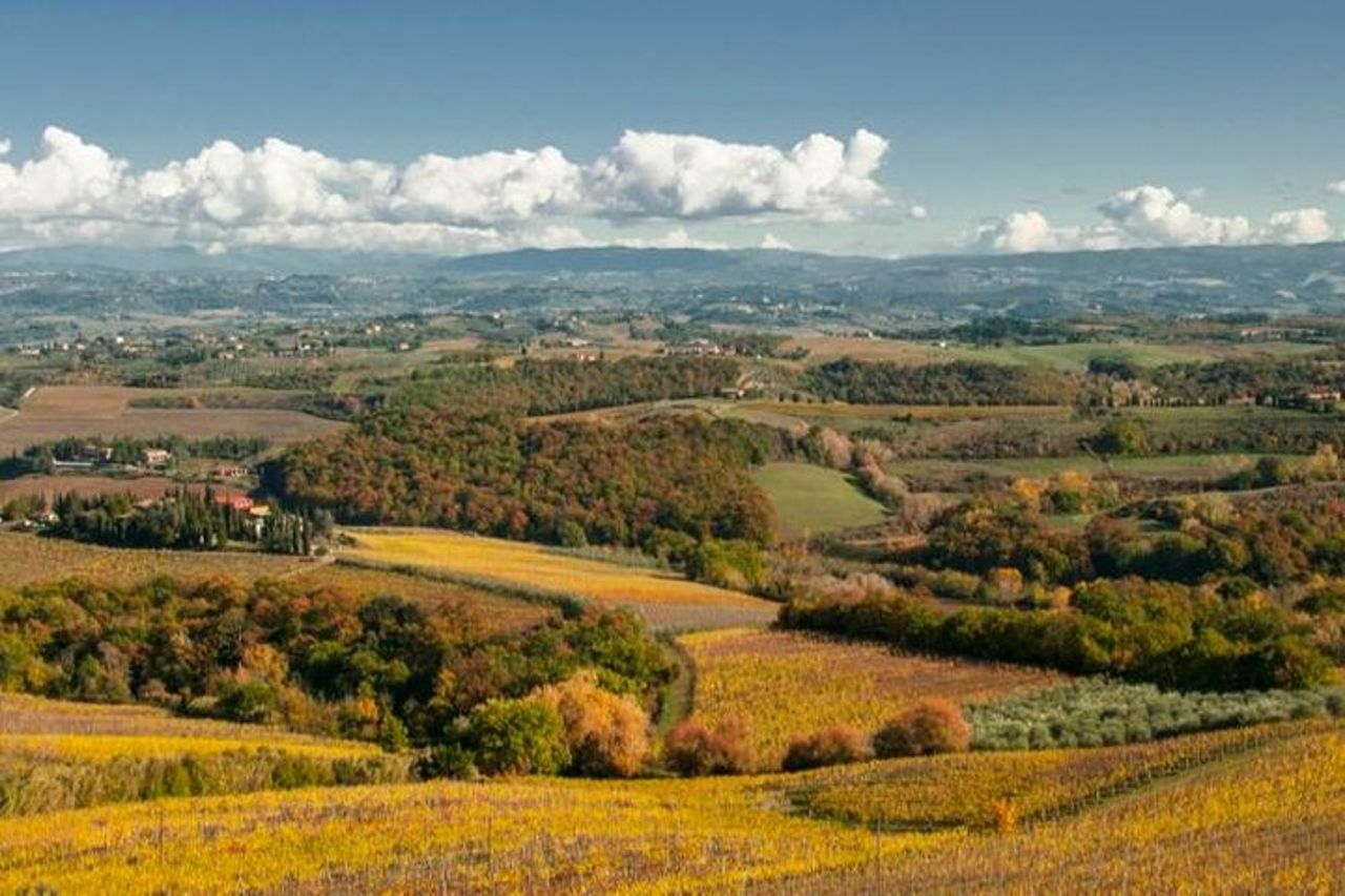 Cesani Wine Experience — 7