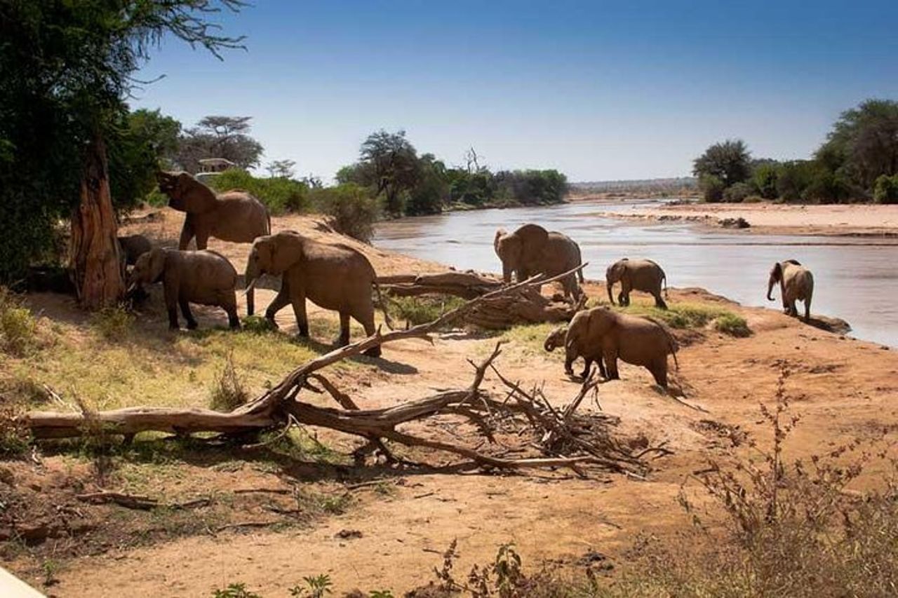Safari di 3 giorni in Tanzania - Manyara, Ngorongoro e Tarangire — 2