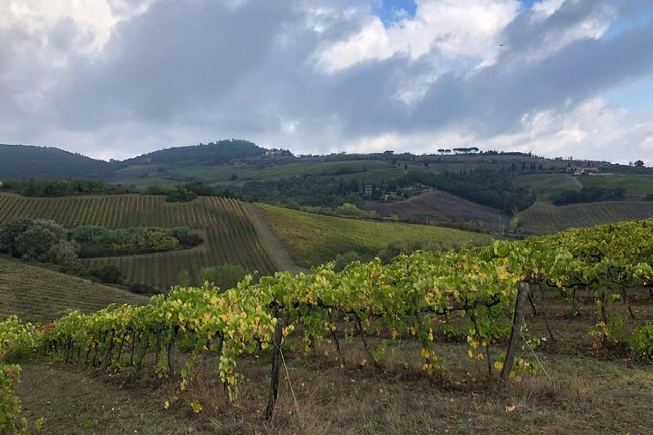 Esperienza del Brunello di Montalcino con un sommelier — 6