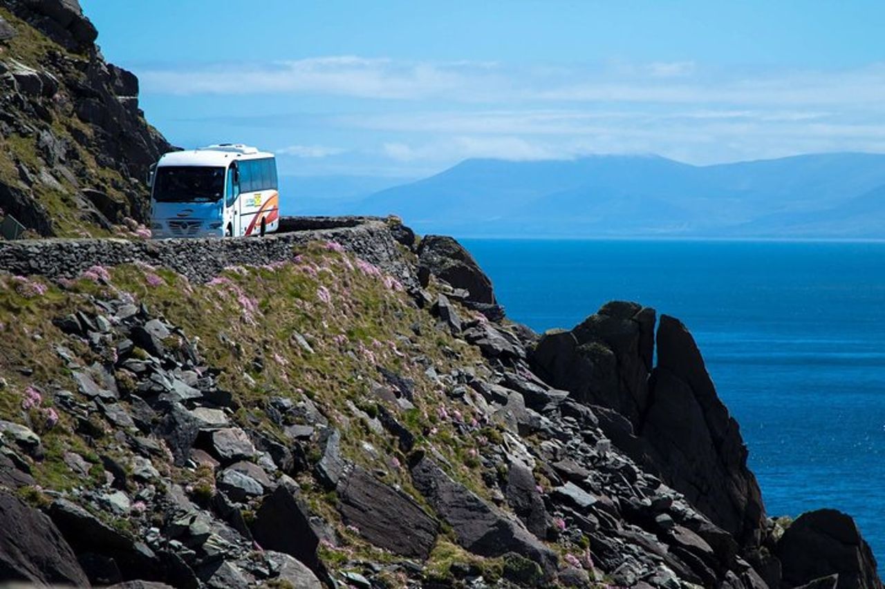 Tour di un Giorno della Penisola di Dingle, Capo Slea e Inch Beach — 6