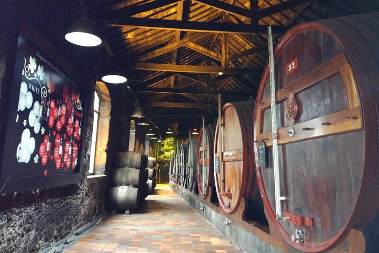 Tour dei Port Wine Lodges con 7 degustazioni di vino di Porto (Inglese) — 2