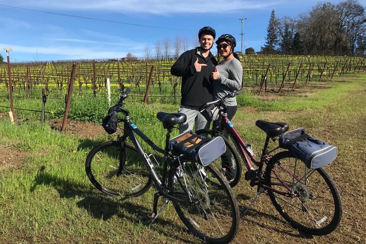 Tour del vino in bicicletta di Healdsburg — 6