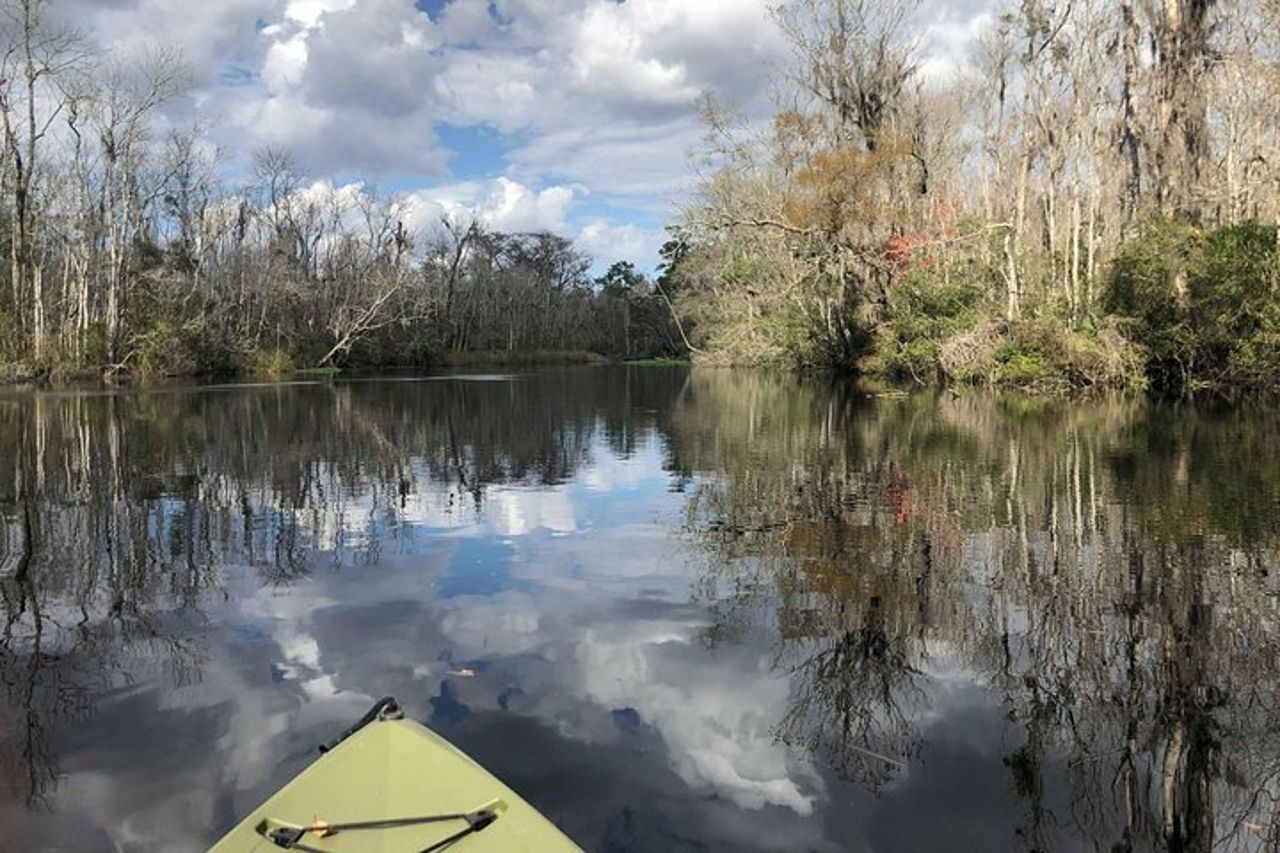Tour ecologico guidato in kayak: vera avventura in Florida — 9