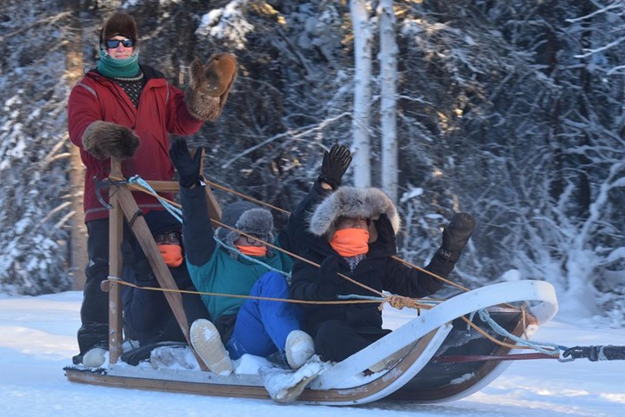 Esperienza di slitte trainate da cani e Mushing al Polo Nord — 3