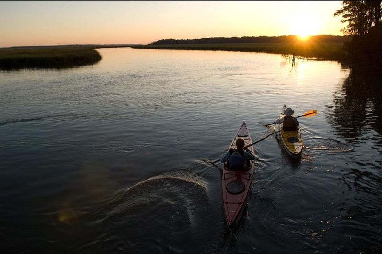 Tour naturalistico guidato in kayak di 2 ore all'Hilton Head — 9