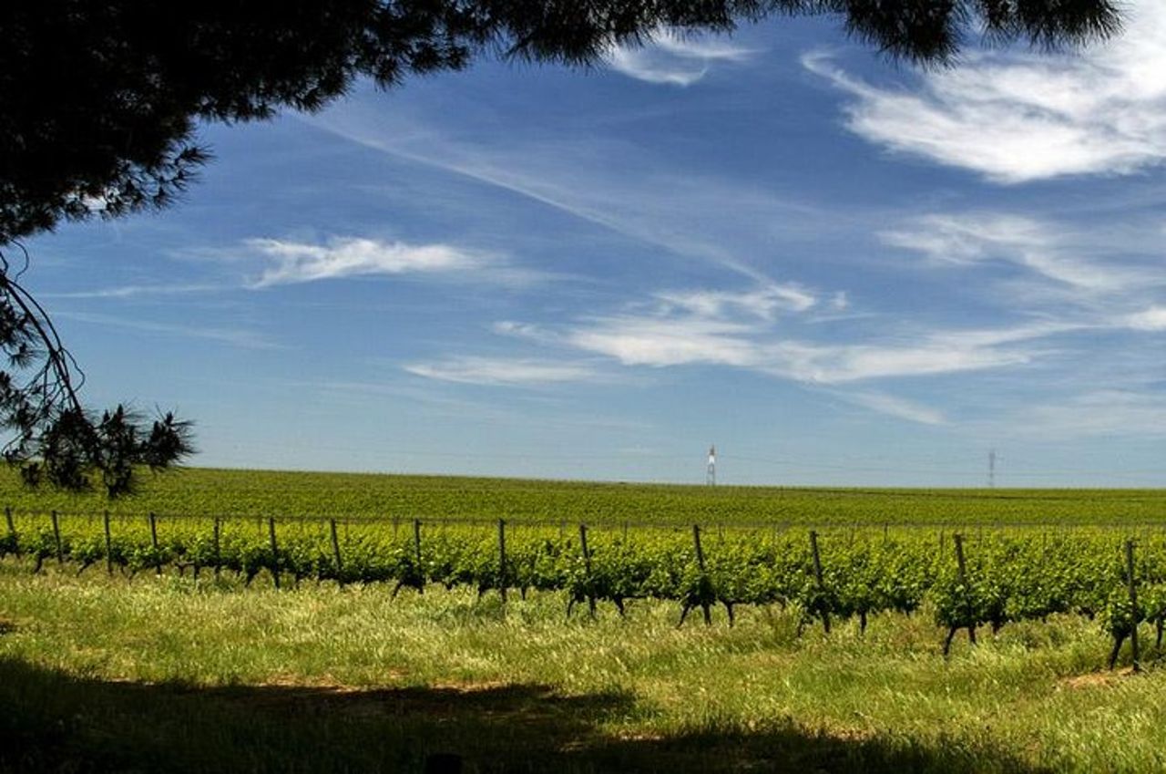 Tour privato di mezza giornata - Evora World Heritage — 3