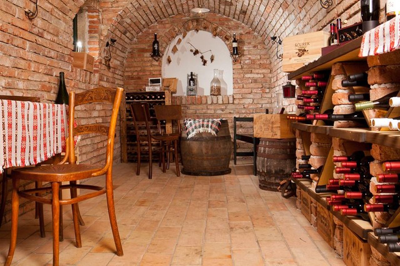 Degustazione di vini sloveni presso la cantina dell''Hotel Triglav Bled — 3