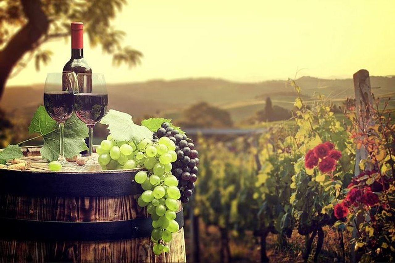 Temecula Wine Country Tour da San Diego — 3