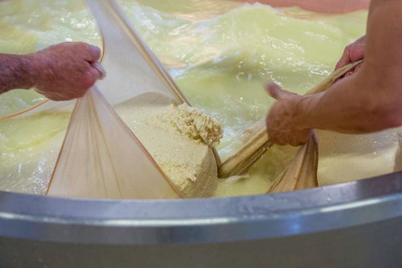 Tour del caseificio del Parmigiano Reggiano ed esperienza di degustazione — 6