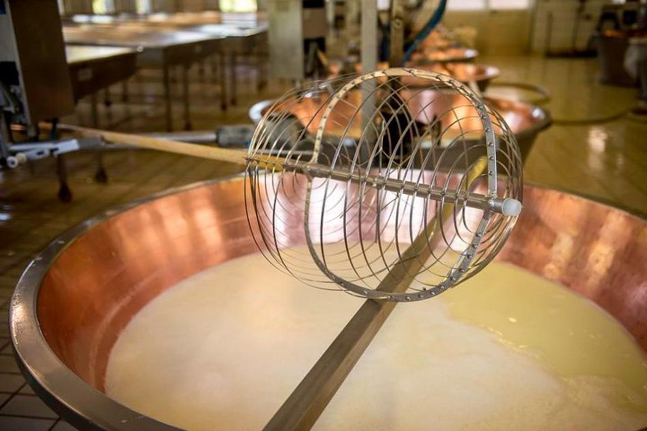 Tour del caseificio del Parmigiano Reggiano ed esperienza di degustazione — 5