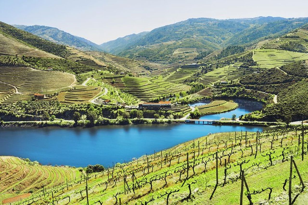 Tour per piccoli gruppi della Valle del Douro: 2 cantine, pranzo e crociera sul fiume
