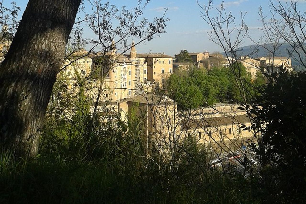 Visita di Palazzo Ducale di Urbino — 2