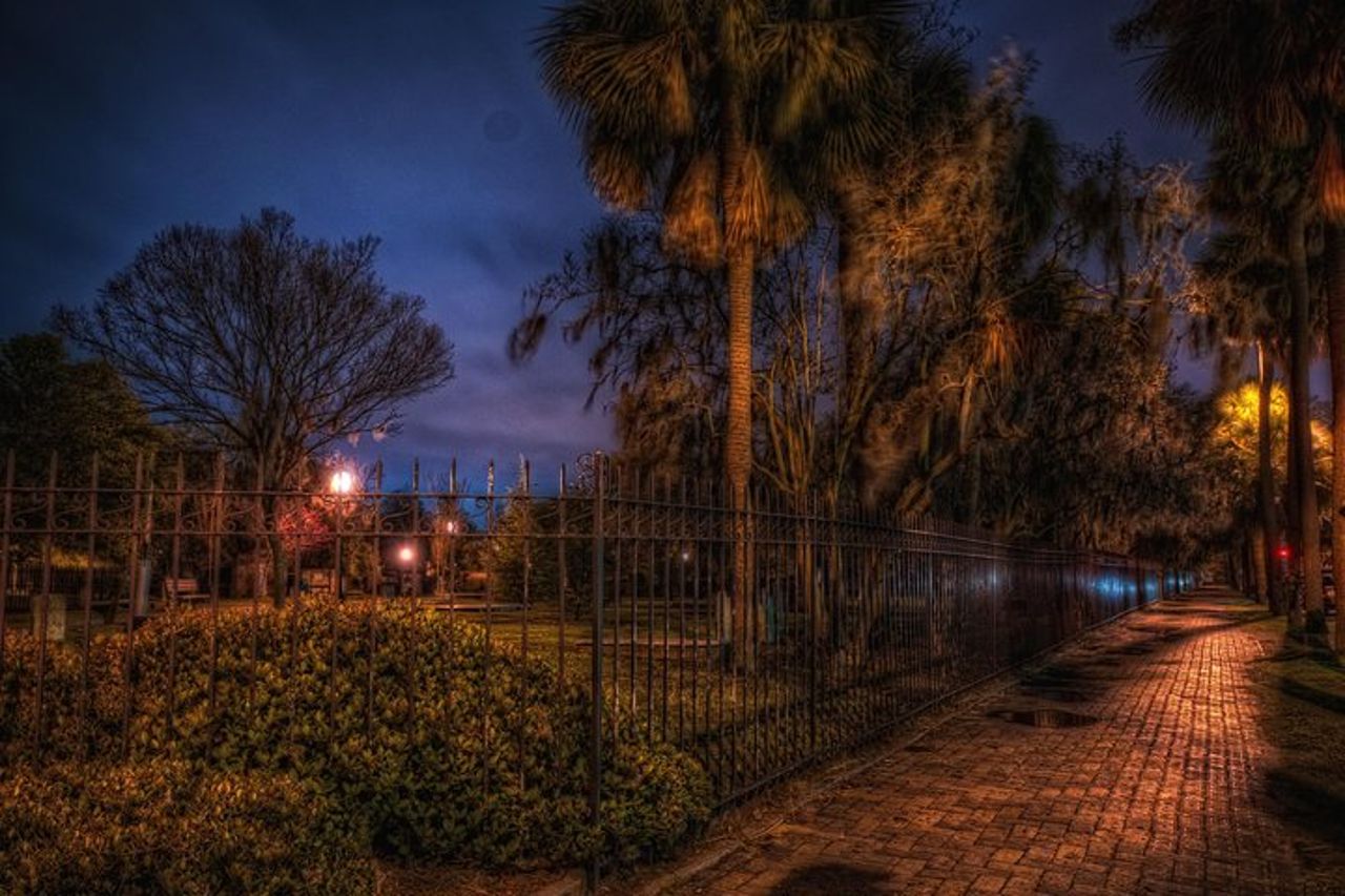 Savannah Beyond Good & Evil Tour — 3