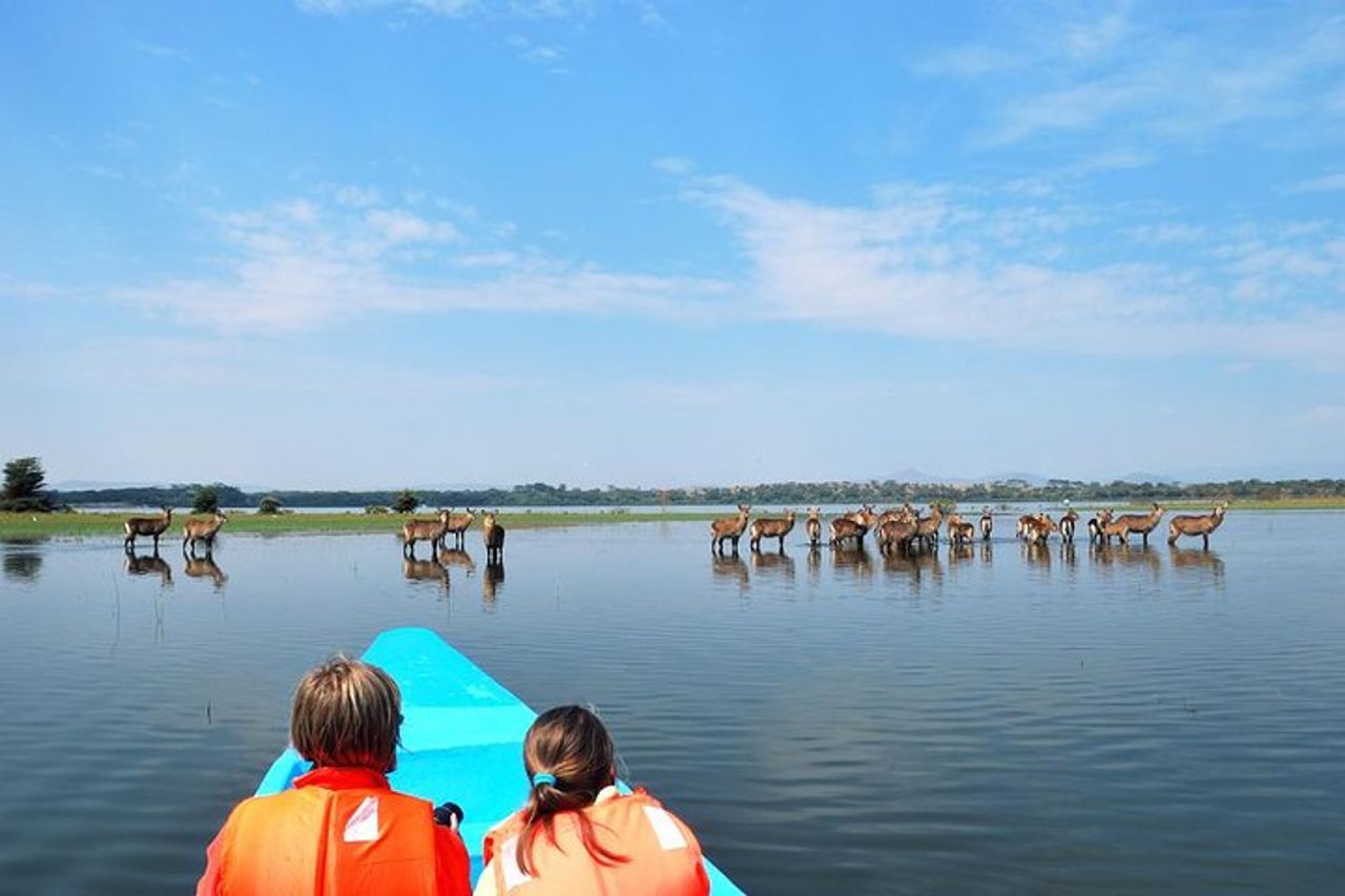 5 giorni Masai Mara, Lake Naivasha, Lake Nakuru Safari — 3