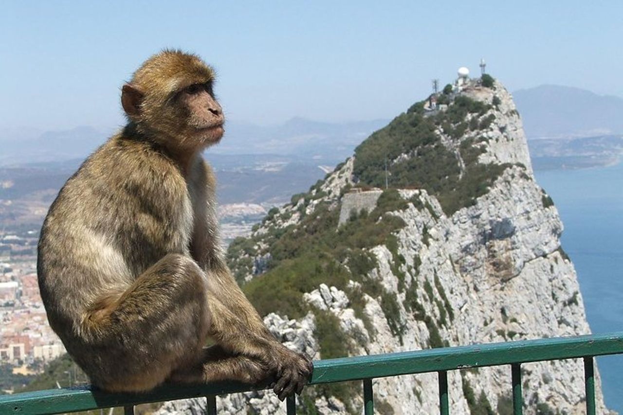 Dalla Costa del Sol : tour classico rock di Gibilterra — 8