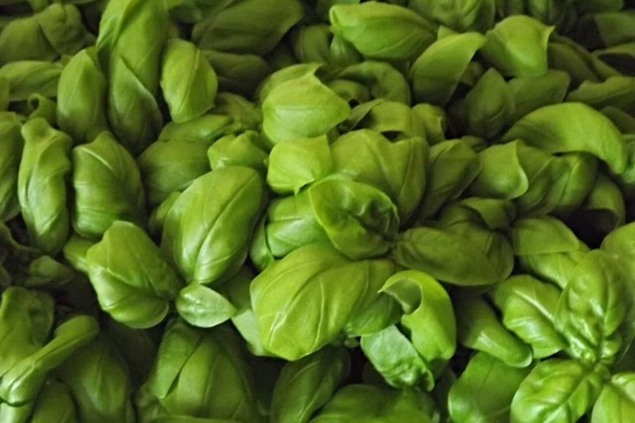 Pesto Di Classe Di Cottura — 2