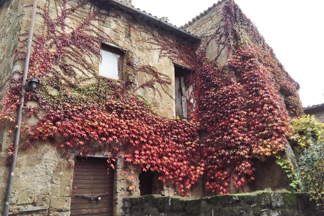 Il meglio del tour a terra di Civitavecchia: Orvieto e Civita Di Bagnoregio Tour — 5